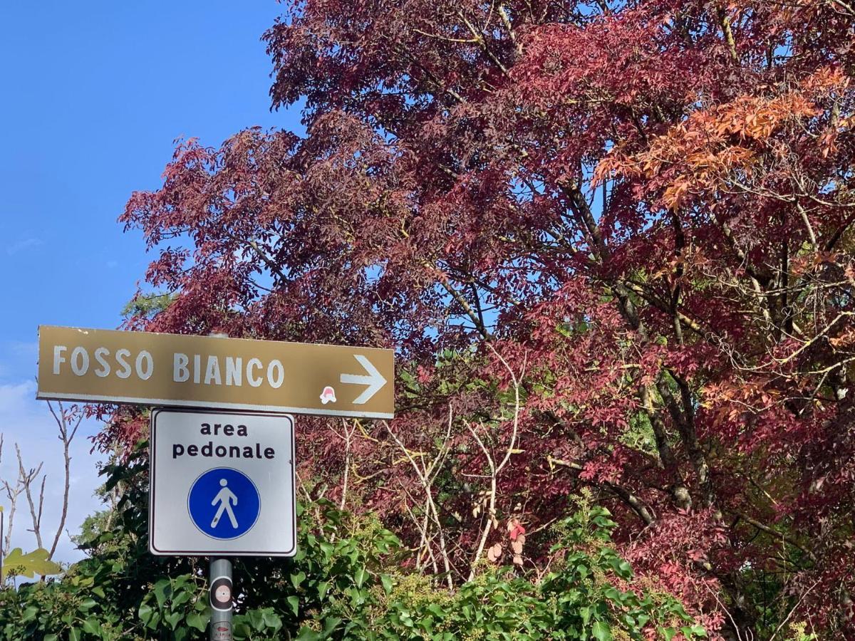 Amiter Bagni San Filippo 아파트 외부 사진